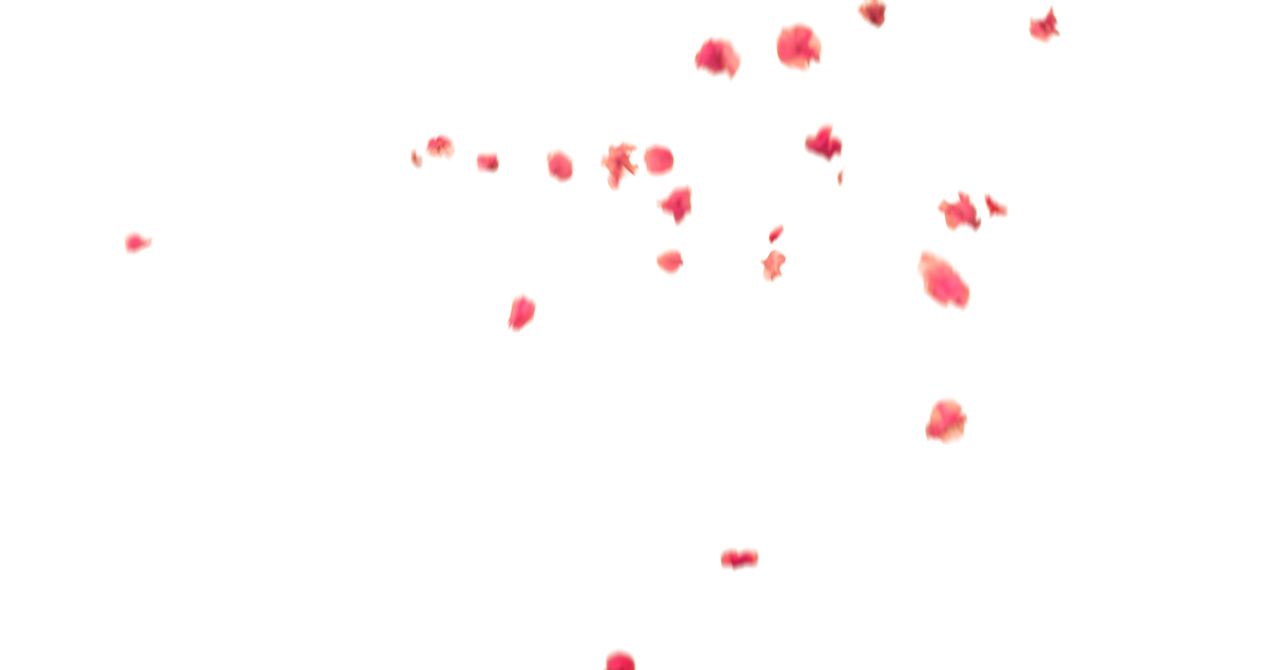 flower petals