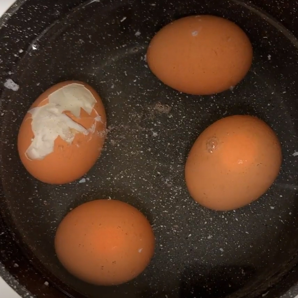 Egg Video