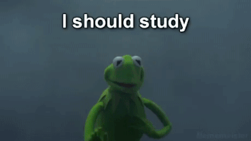 Study Kermit